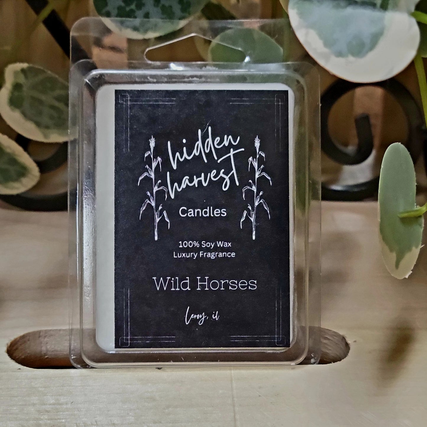 Wild Horses